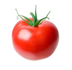 Medium-Sized Tomato